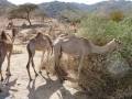 eritrea_asmara_bearbeitet_0005_Landscape